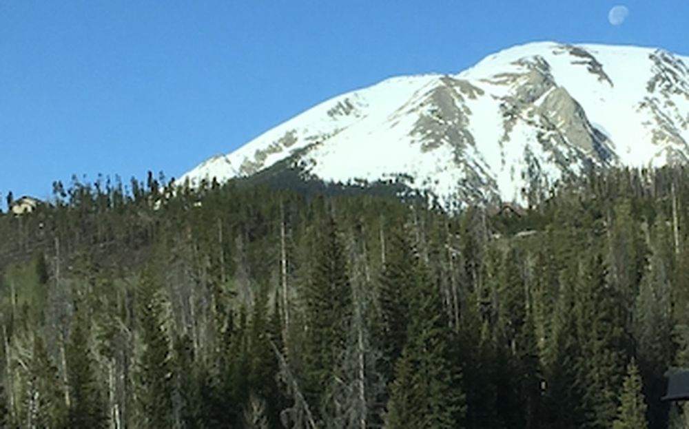 Snow-capped Summit County peak above a pine forest